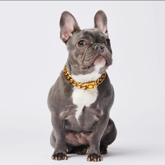gold plated dog chain